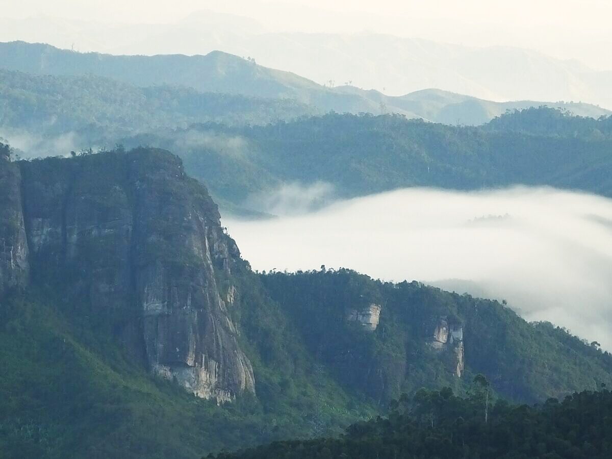 Tanjona Andasibe Tours in Andasibe