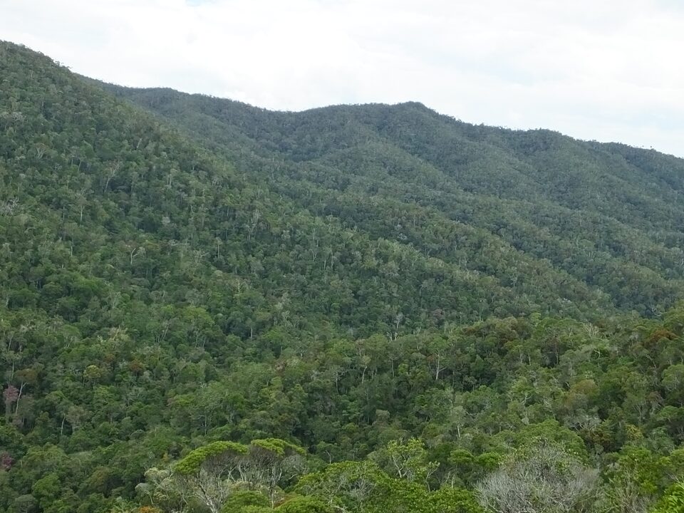 Maromizaha Protected Area