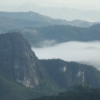Tanjona Andasibe Tours gallery image 2