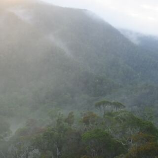 Tanjona Andasibe Tours gallery image 1