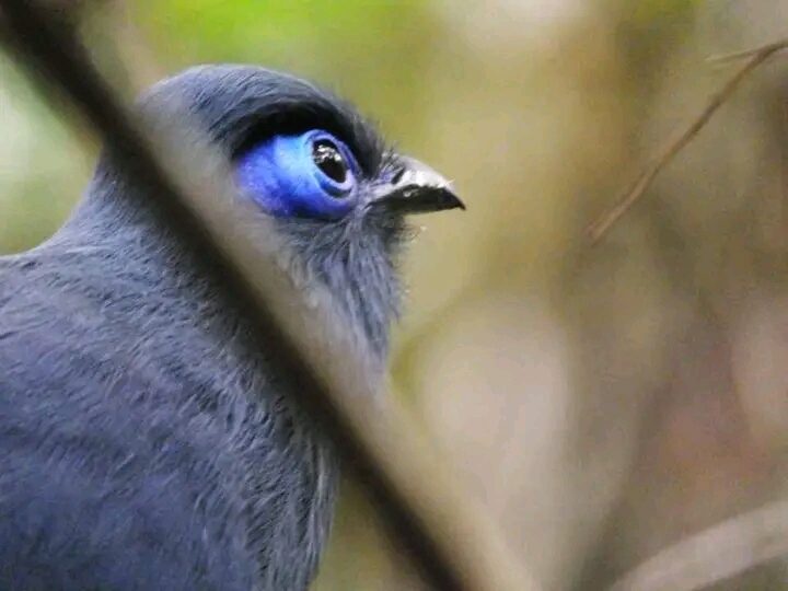 Birding gallery image 3